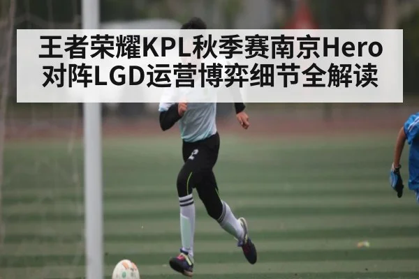 王者荣耀KPL秋季赛南京Hero对阵LGD运营博弈细节全解读（kaiyun）